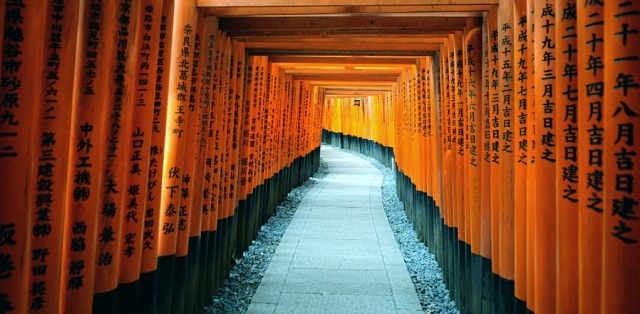 Tempio Fushimi inari torii